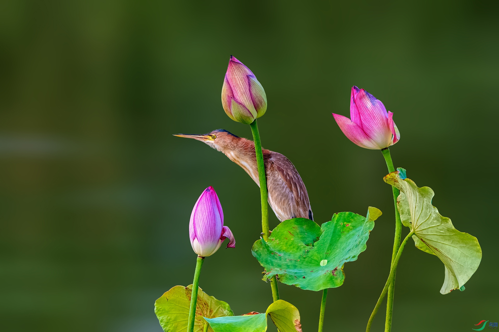 _AUU8100 ��Ҳ������(25.7.29).jpg