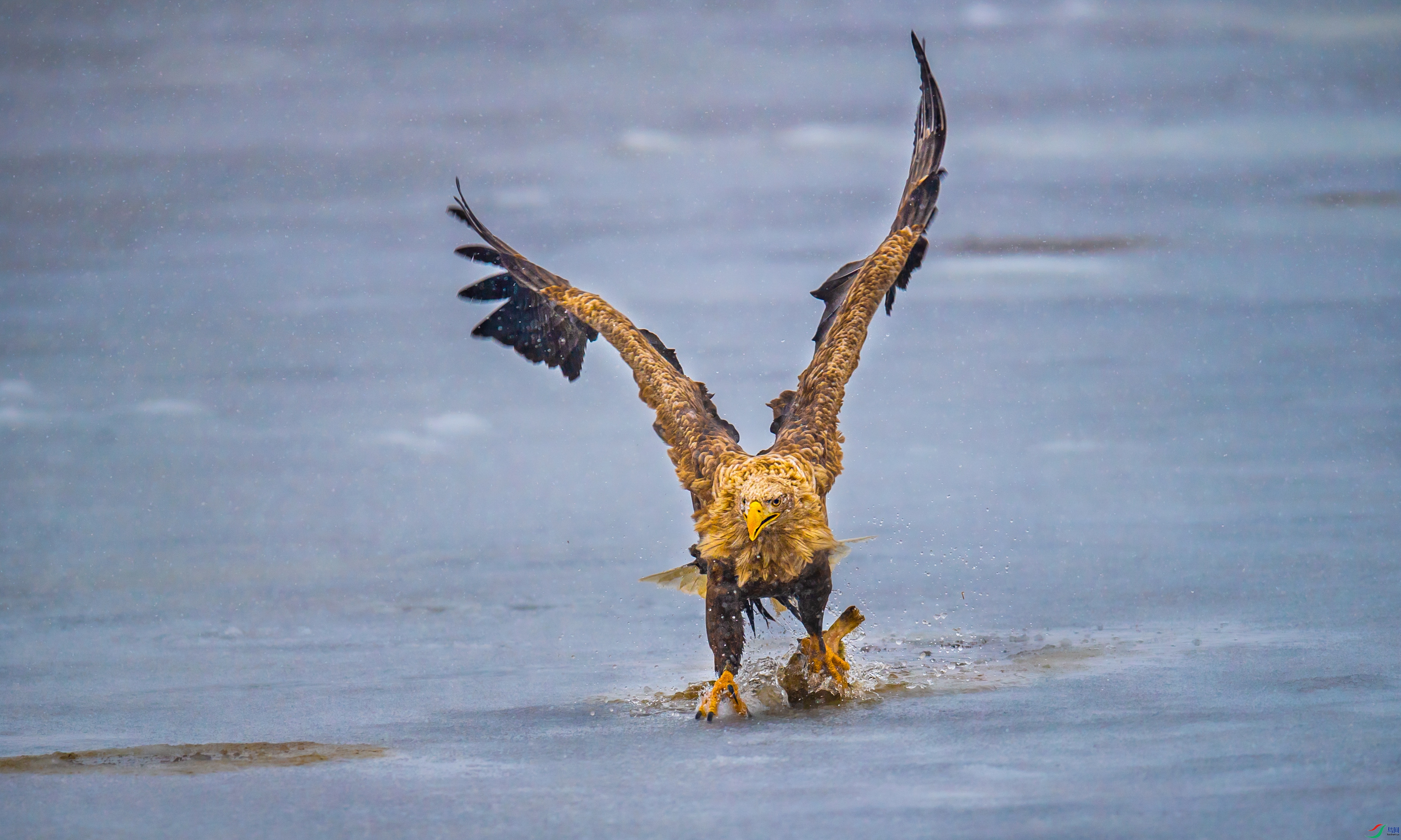 DSC_5068-1.jpg