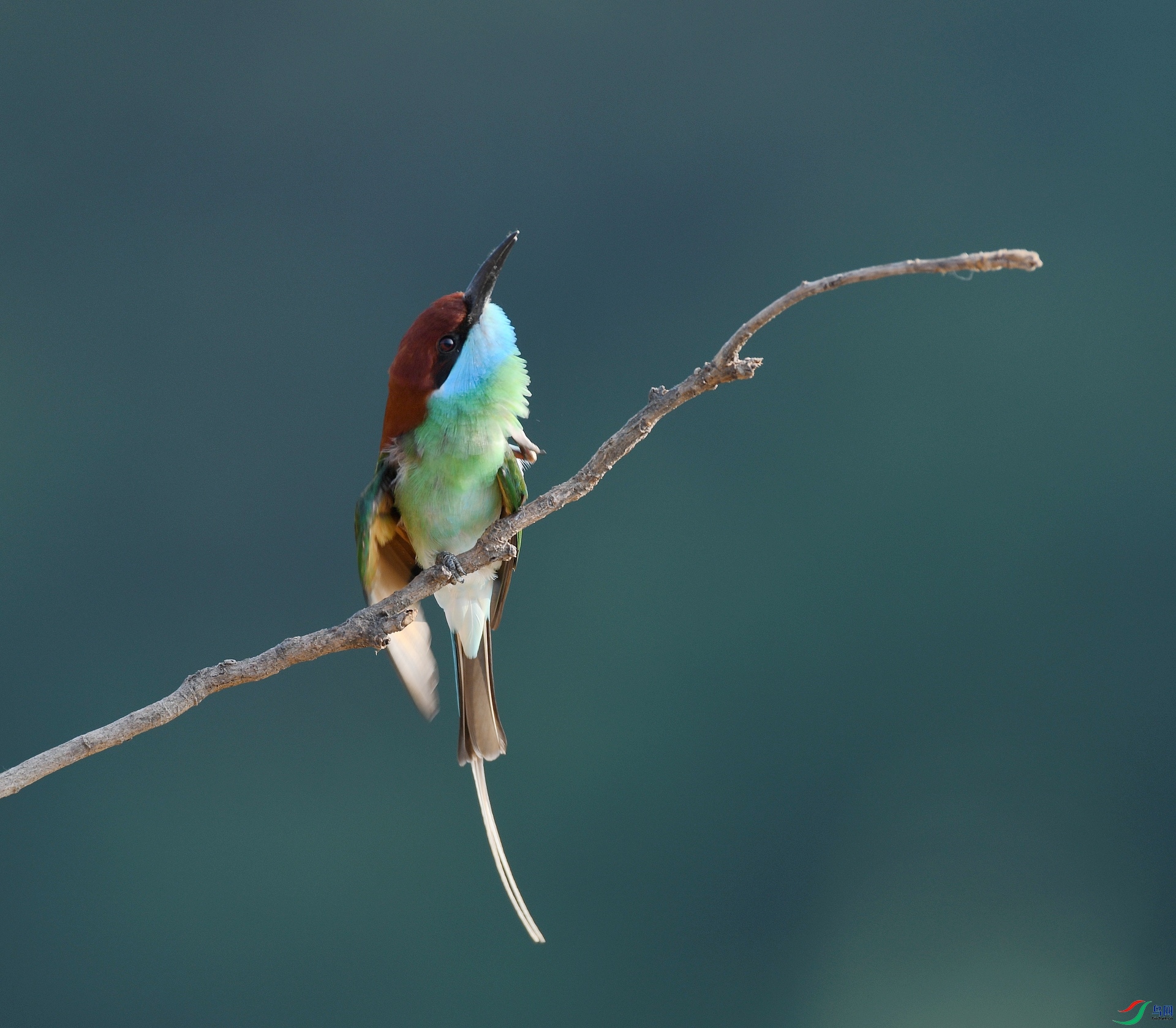 DSC_0676.jpg