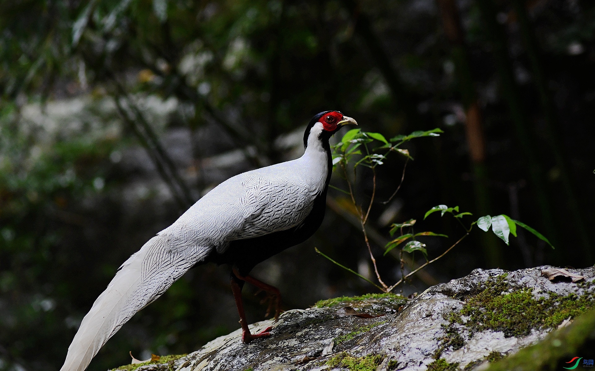 DSC_1156.jpg
