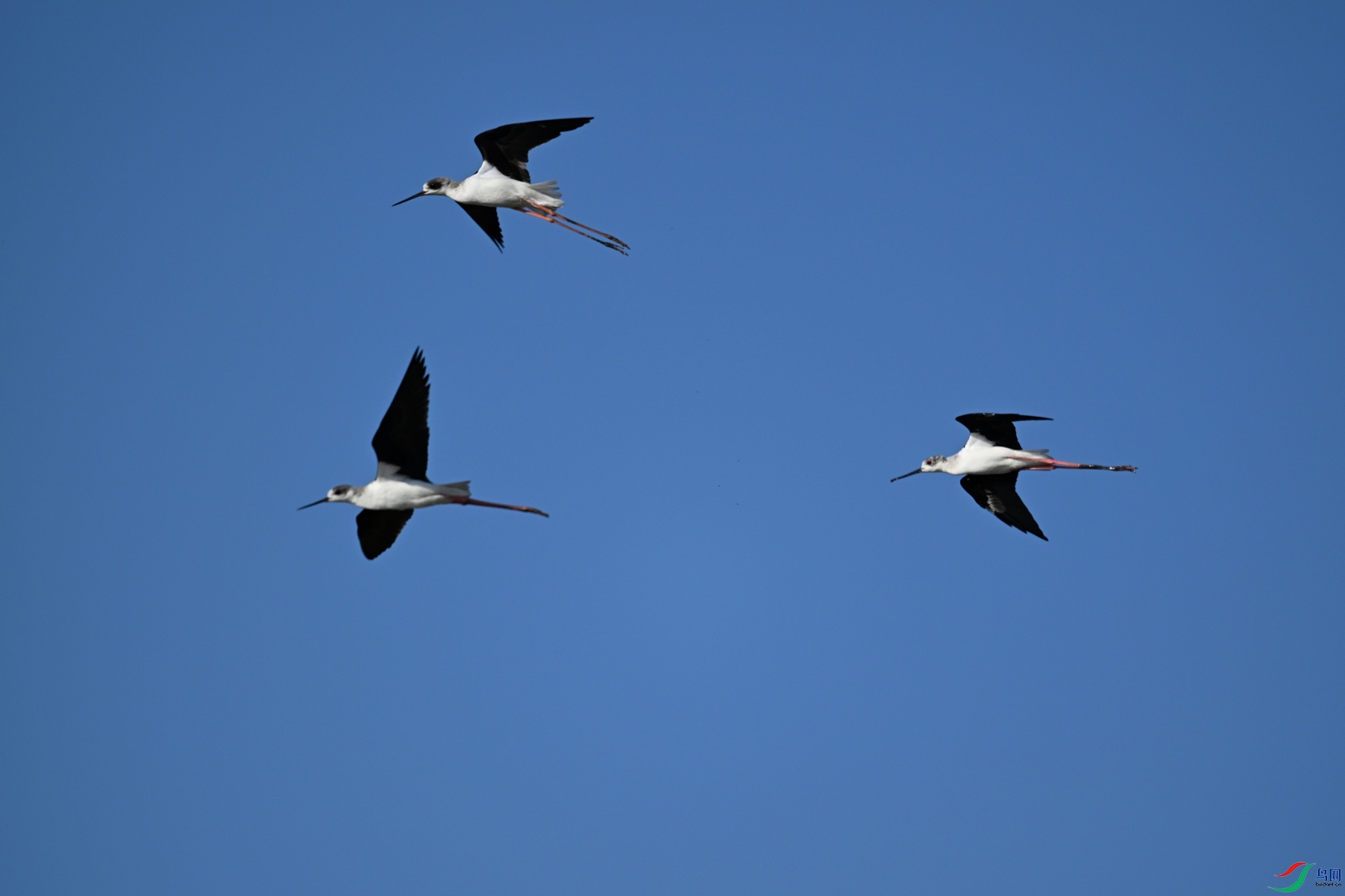DSC_5124.JPG