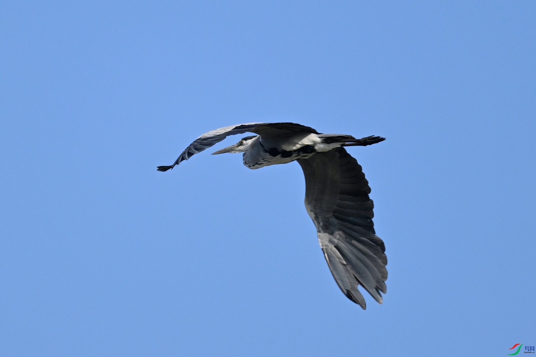 DSC_5139.JPG