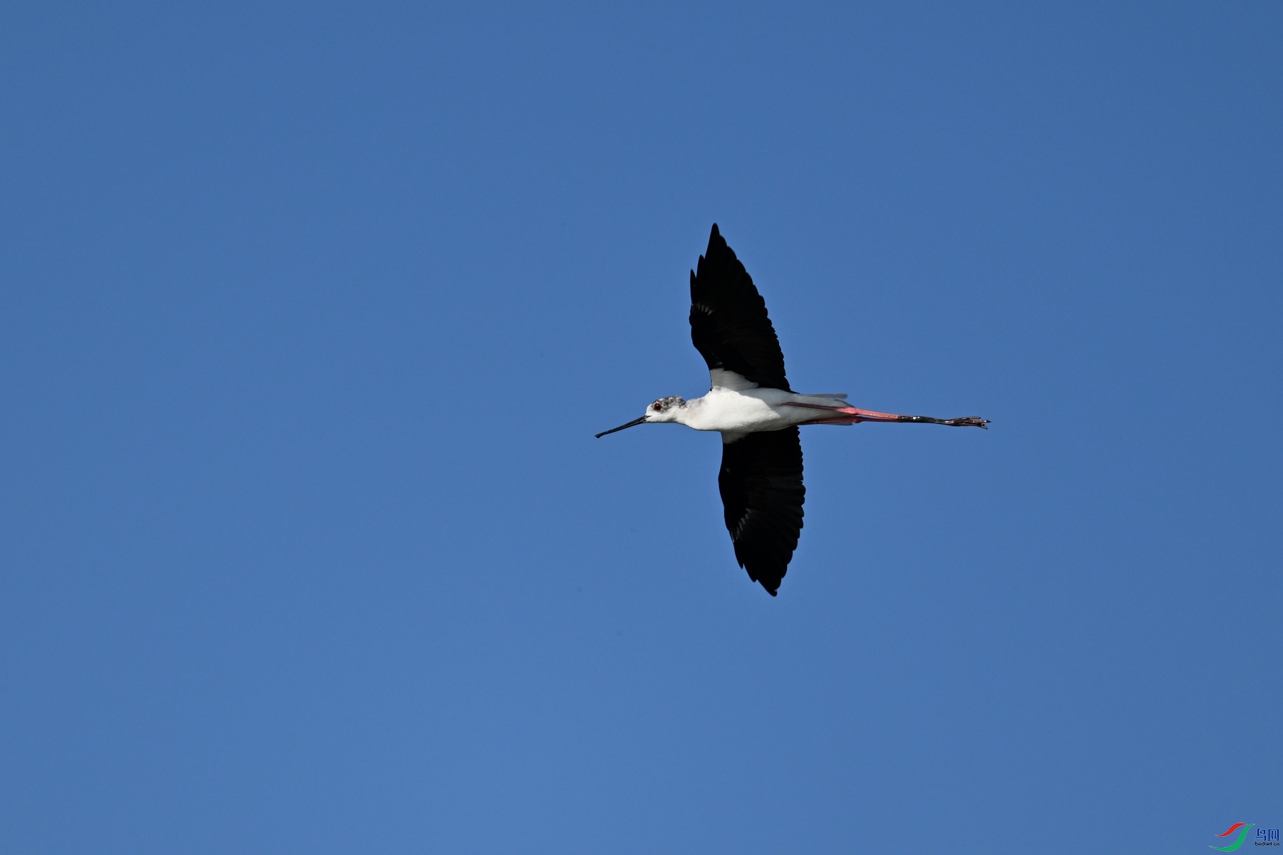 DSC_5126.JPG