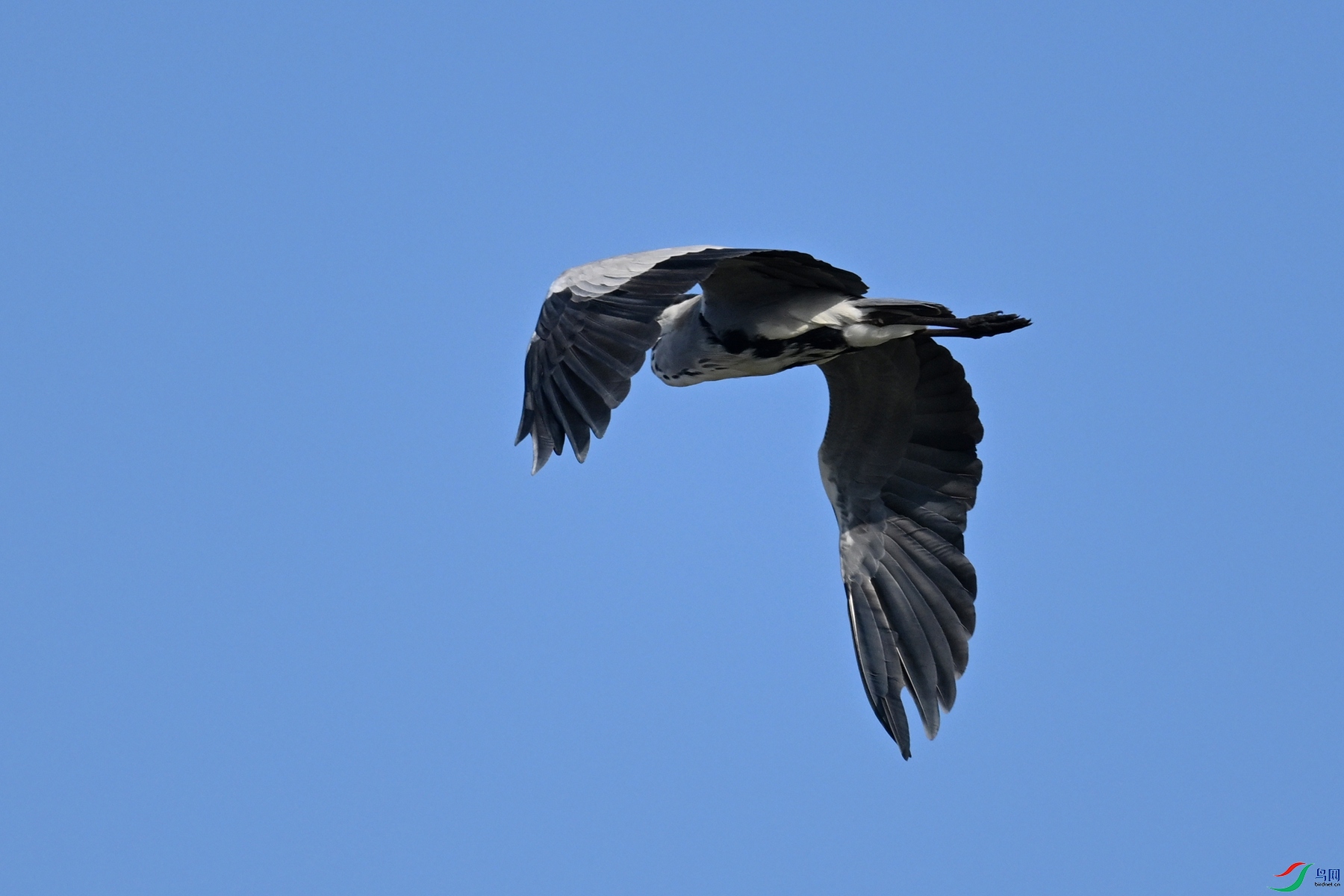 DSC_5140.JPG