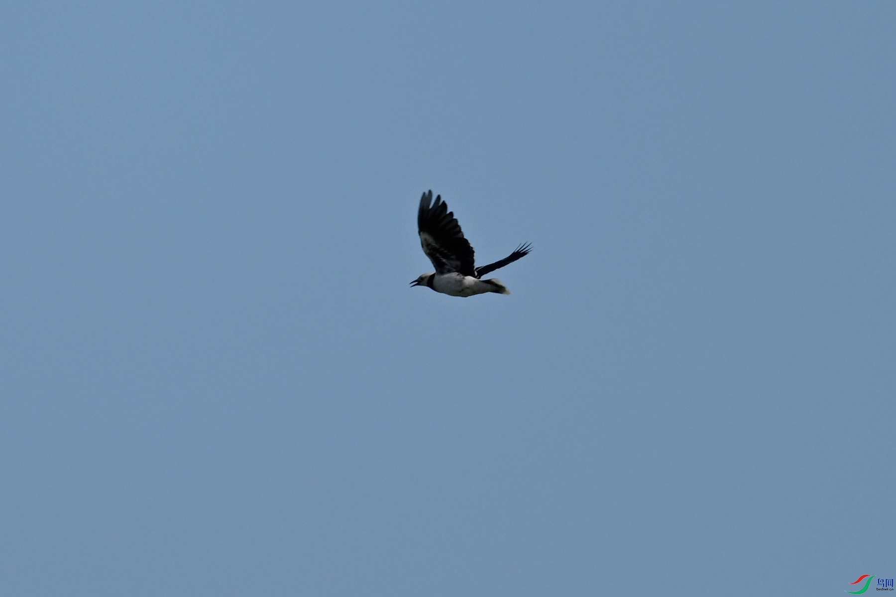 DSC_5144.JPG