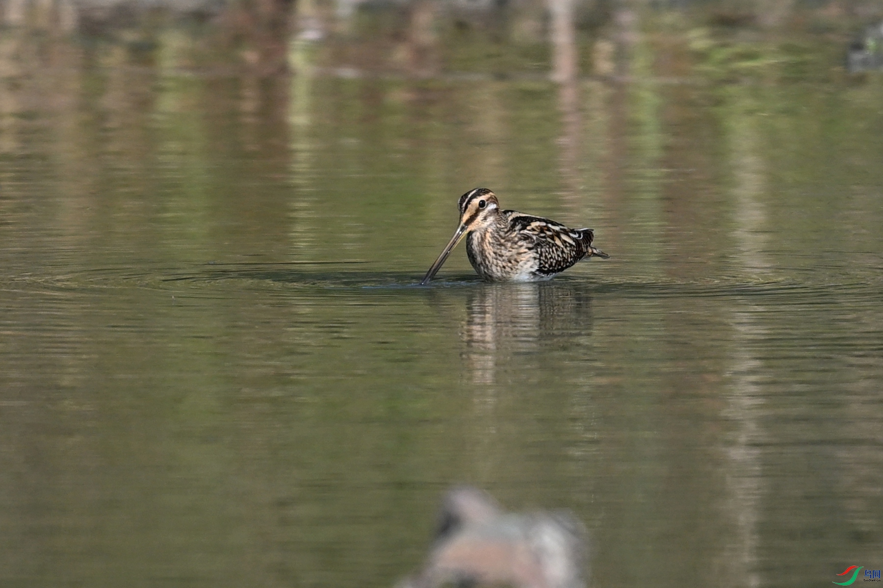 DSC_5117.JPG