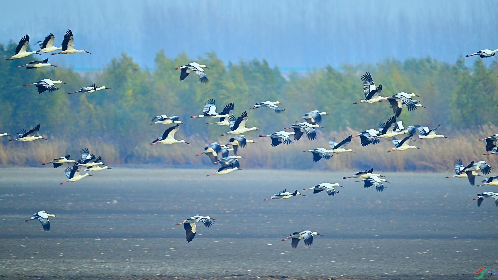 11��14�� (1)-����.jpg