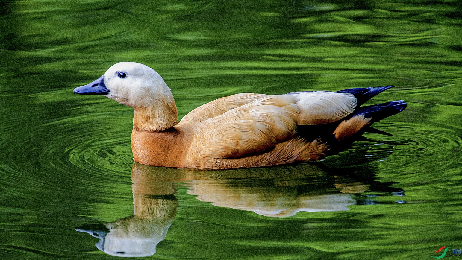 _MG_0218 ���� 2.jpg