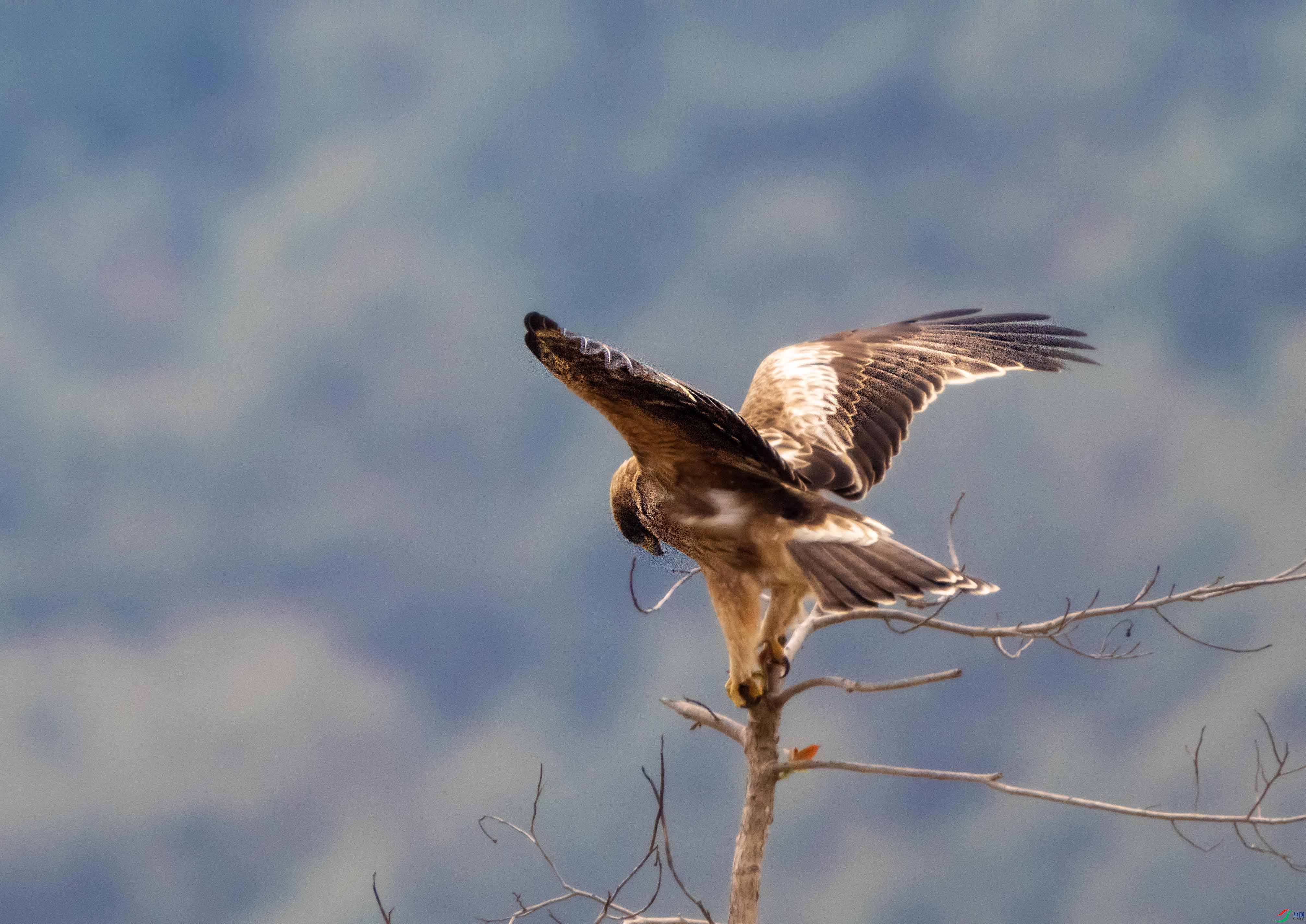 1-xtѥ����P3240879 ���� 3.jpg