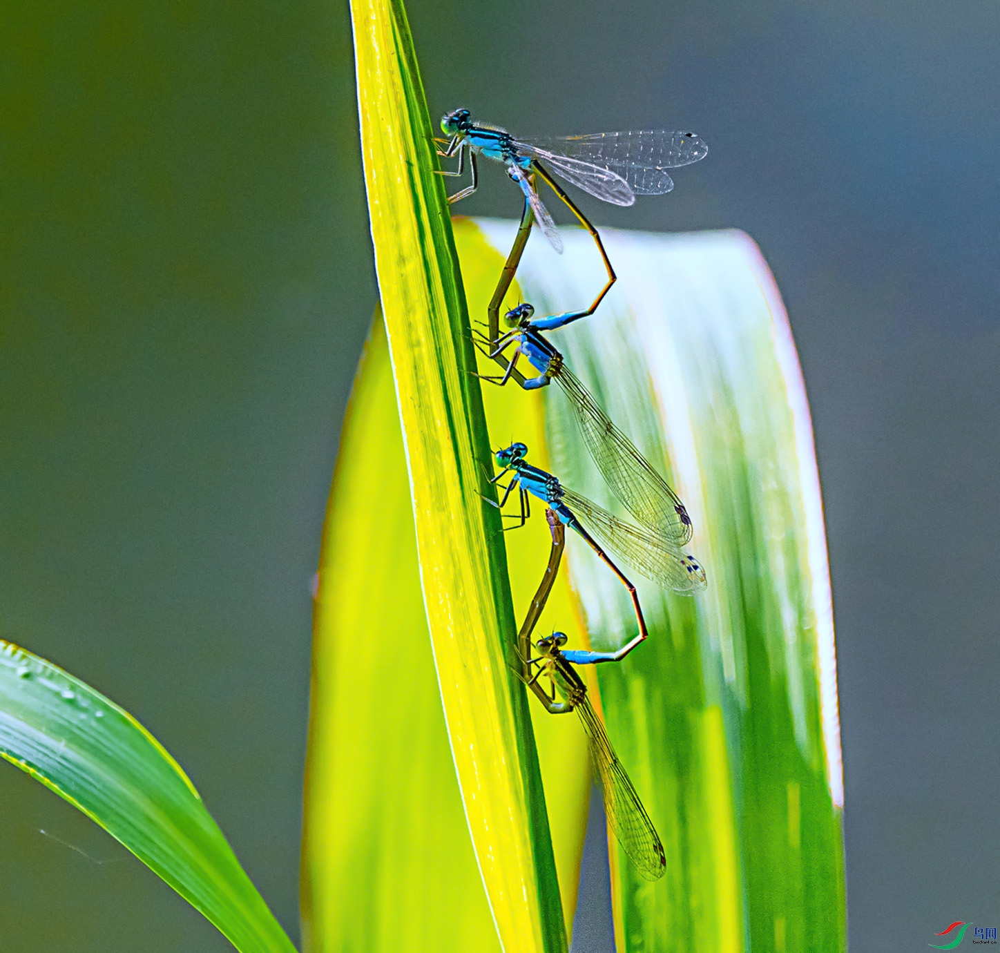 REC_4741 ����_����.jpg