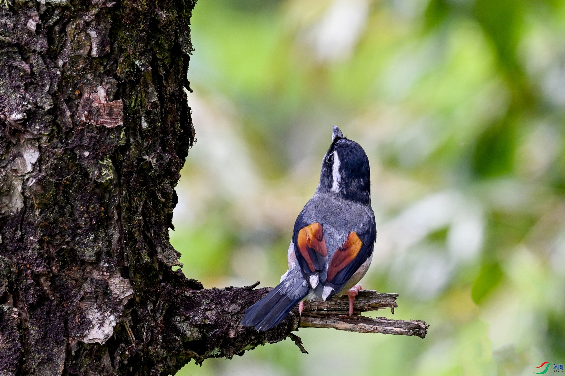 DSC_1471.JPG