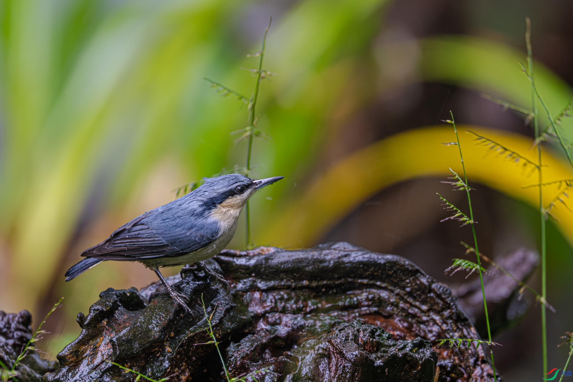 DSC_1196.jpg.jpg