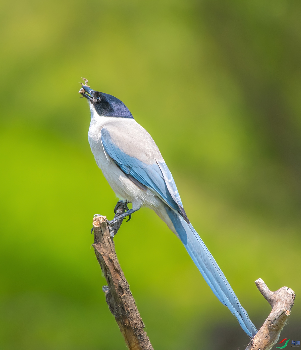 DSC_1385_��ͼ�� ����.jpg