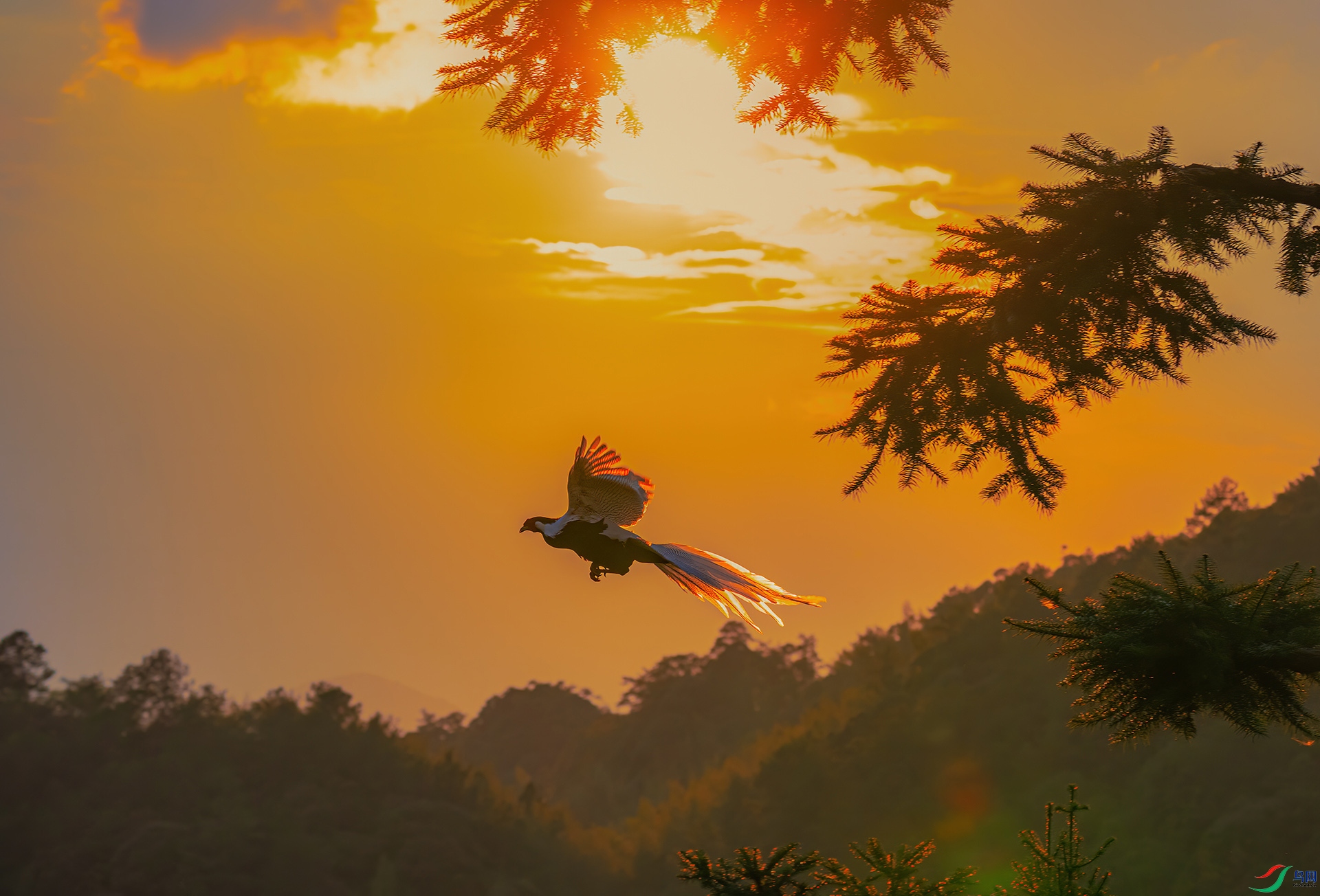 DCS3927.jpg