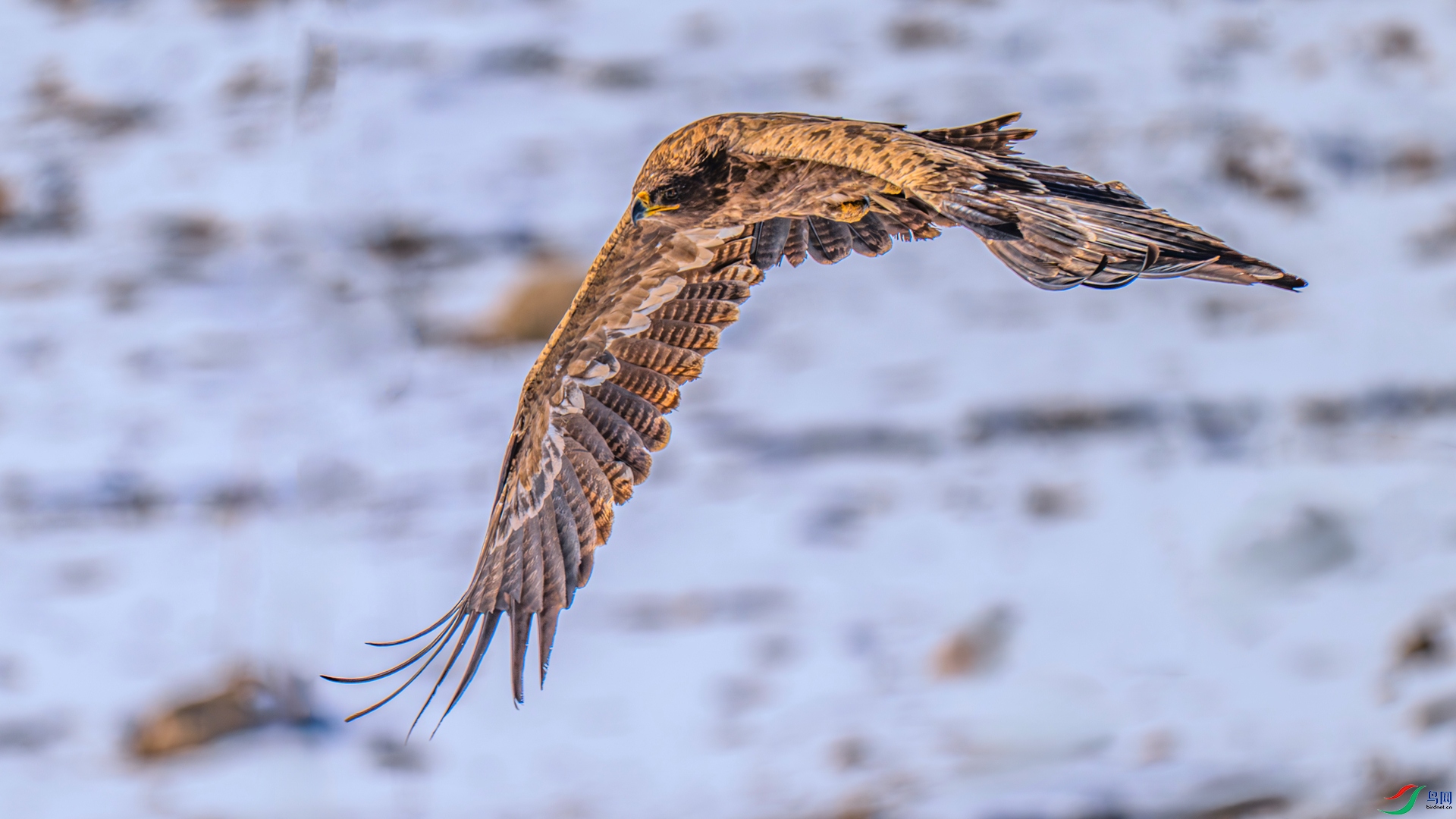 DSC_1729 ����_����.jpg