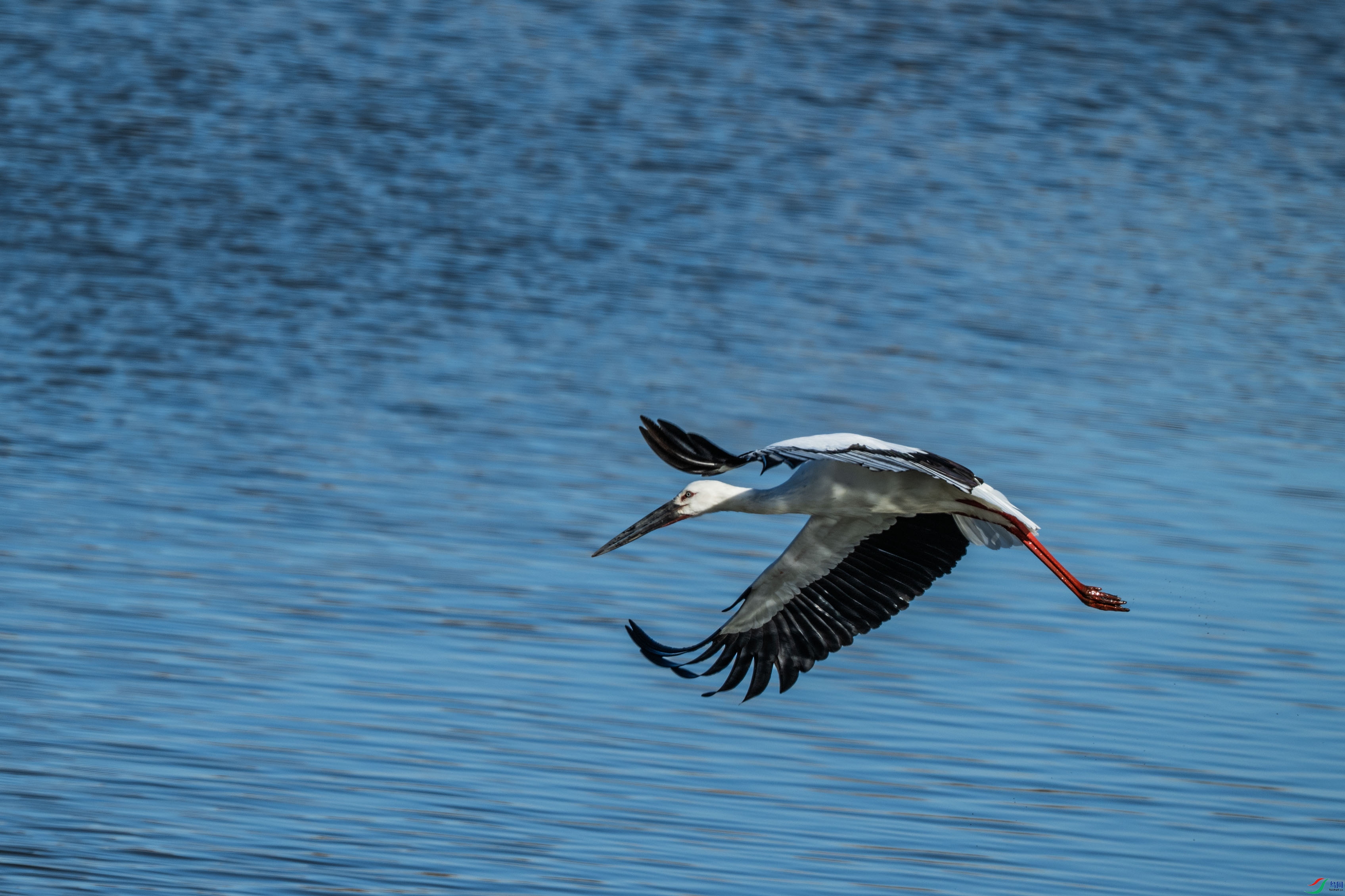 DSC_7296.jpg