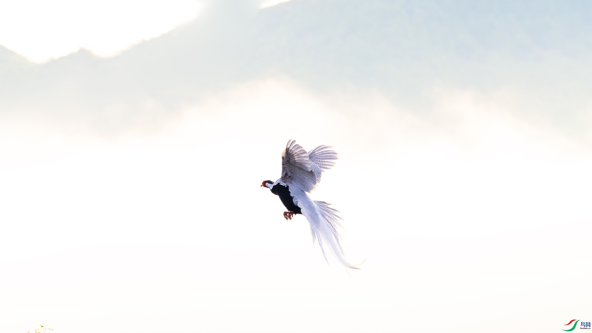 _DSC9364 ����.jpg