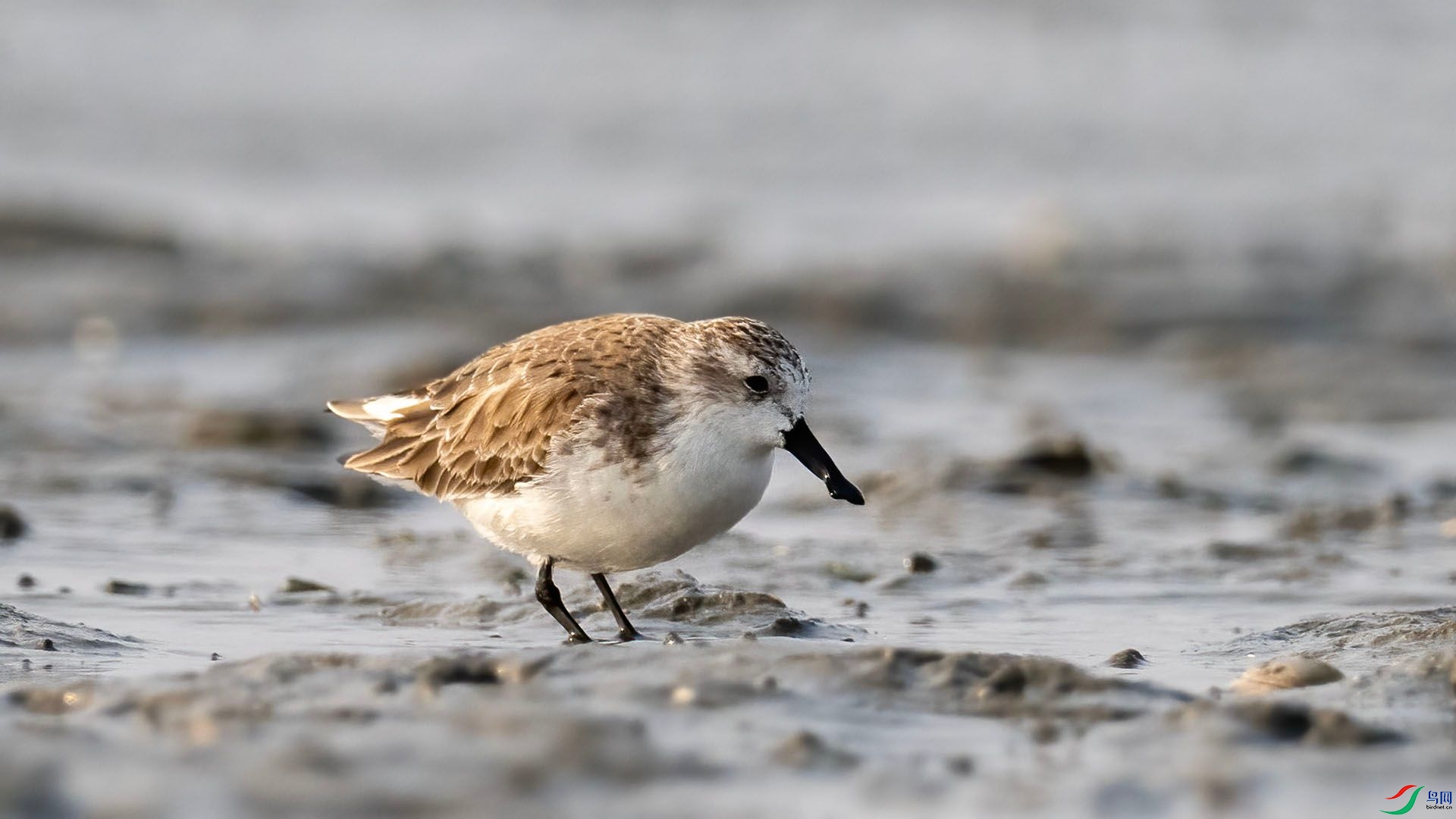 _DSC9992 ����.jpg