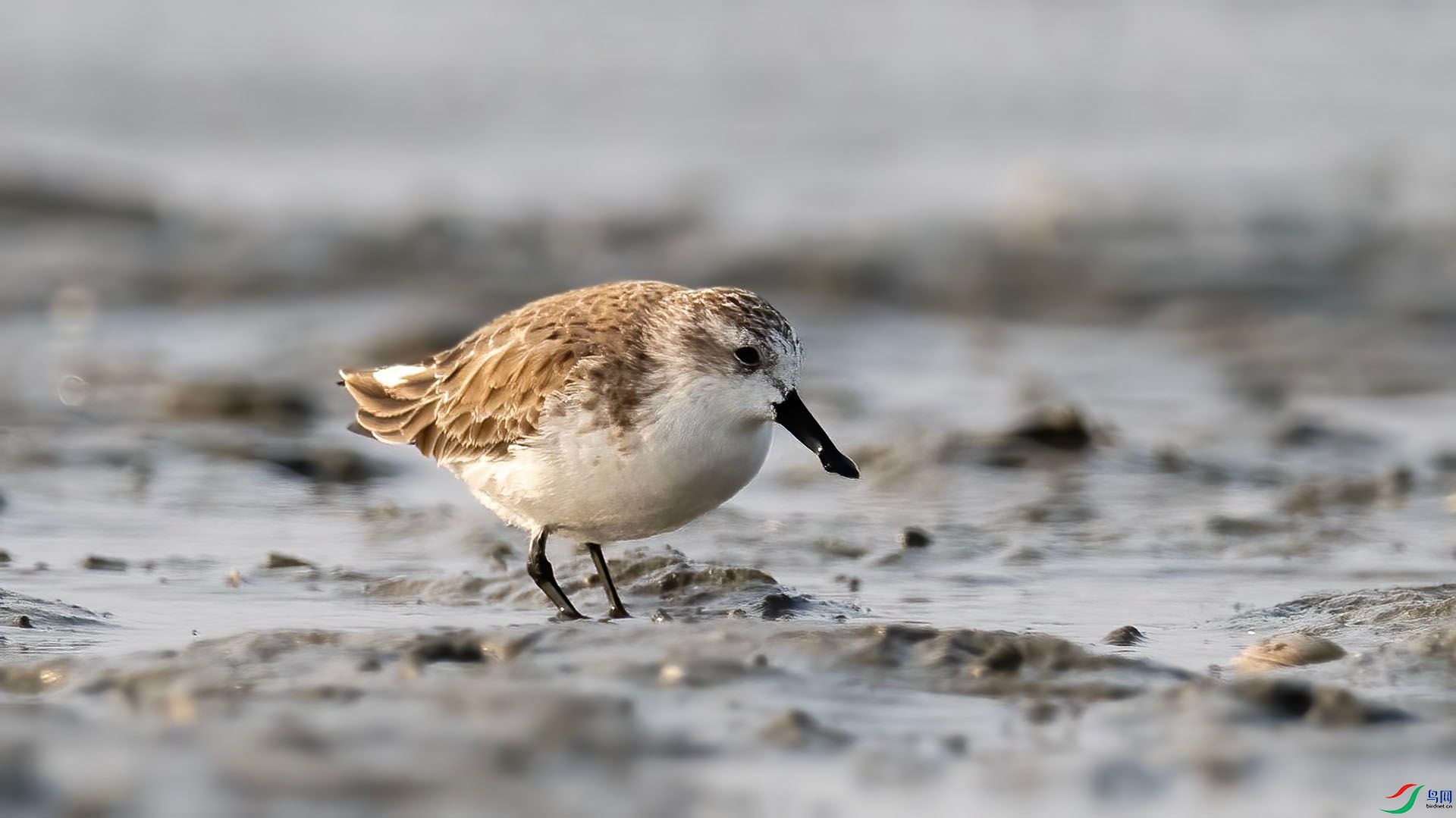 _DSC9995 ����.jpg