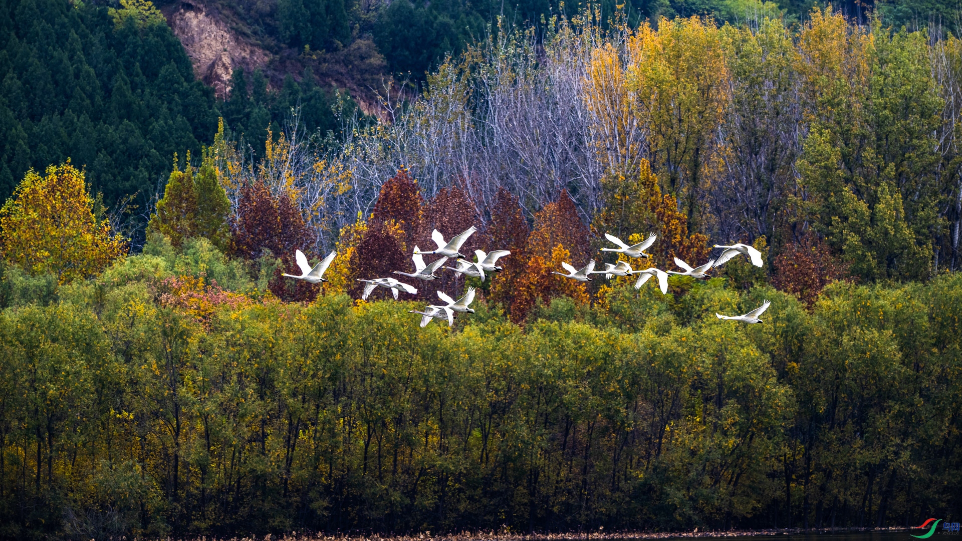 _DSC7066.jpg
