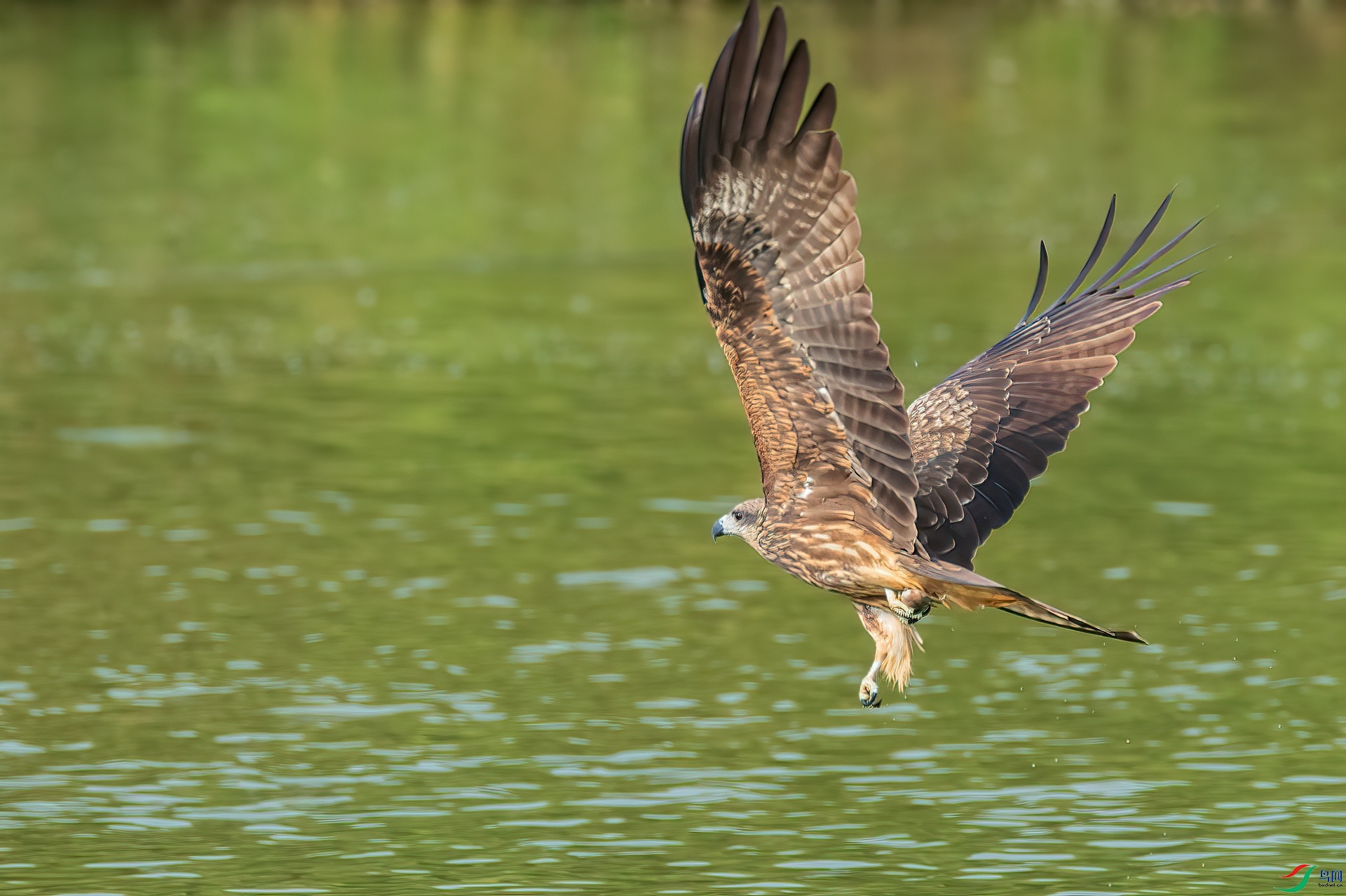 B86I1406 _����.jpg