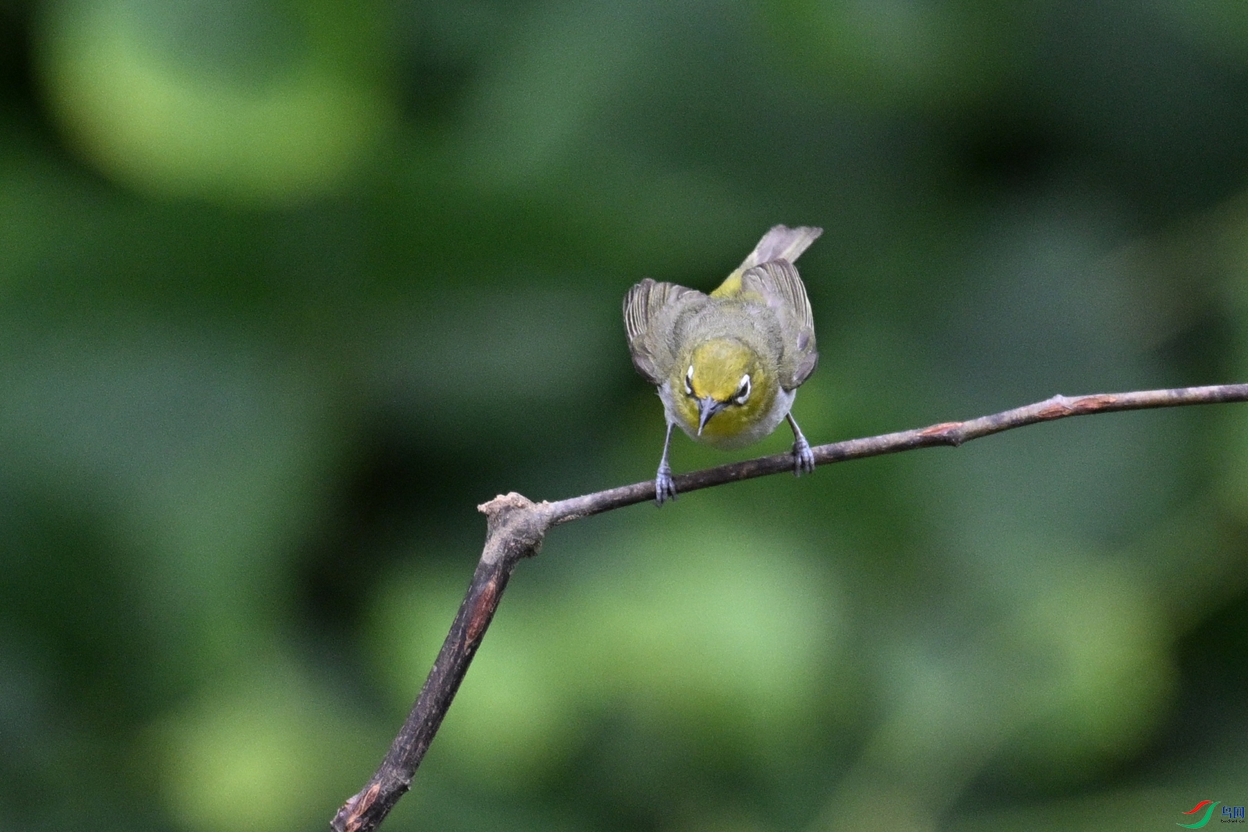 DSC_7976.JPG