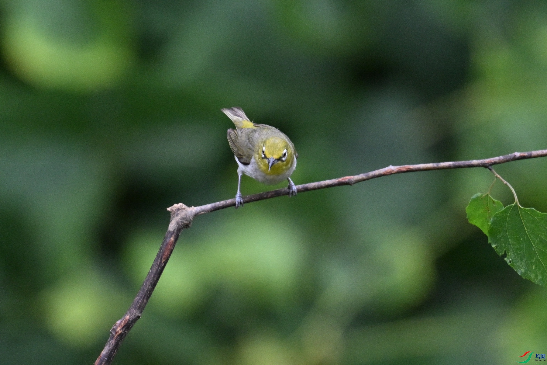 DSC_7980.JPG