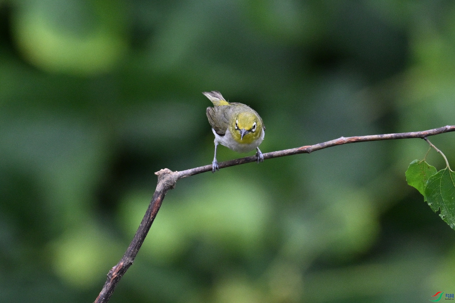 DSC_7986.JPG