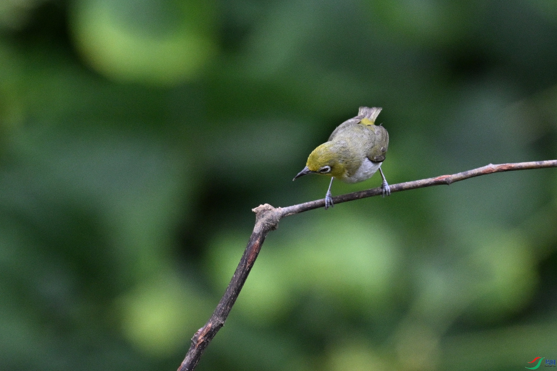 DSC_7974.JPG
