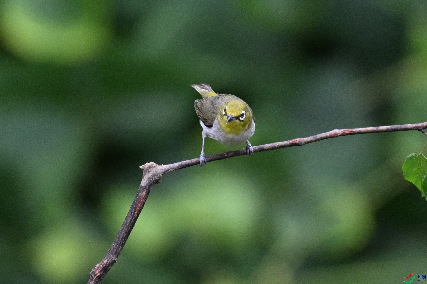 DSC_7992.JPG