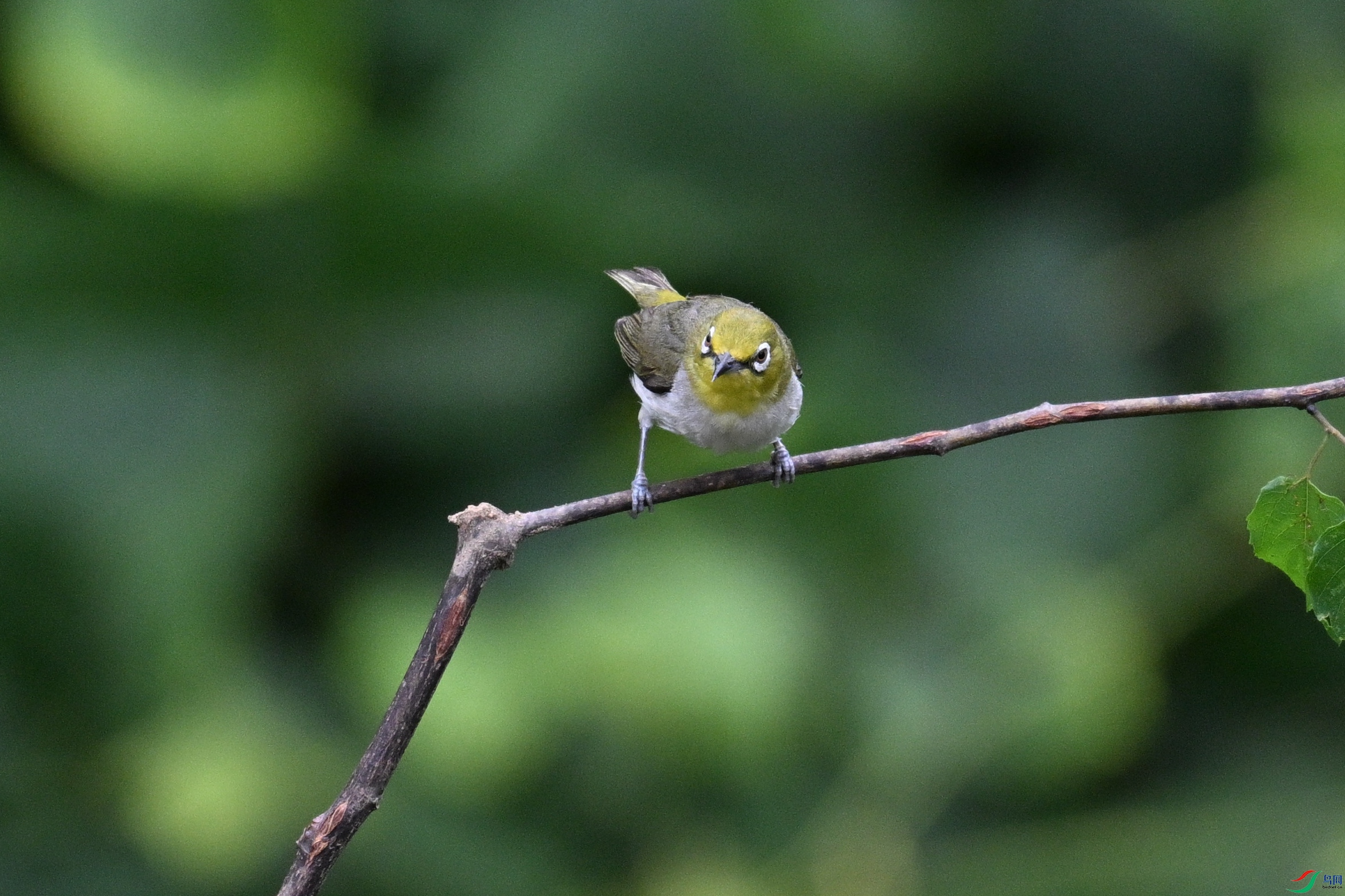 DSC_7998.JPG