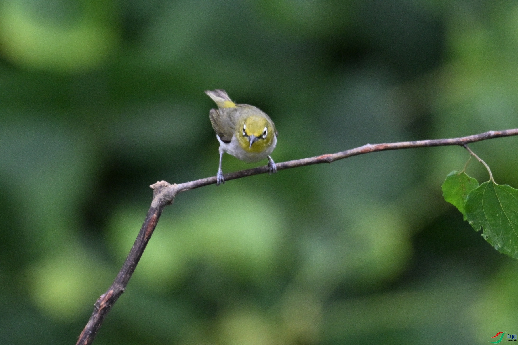 DSC_7983.JPG