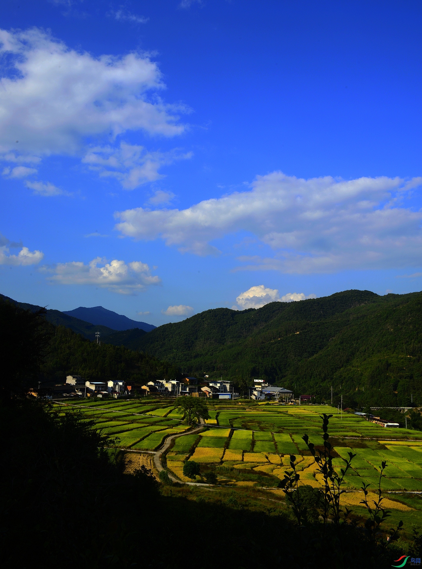 _D801197.jpg