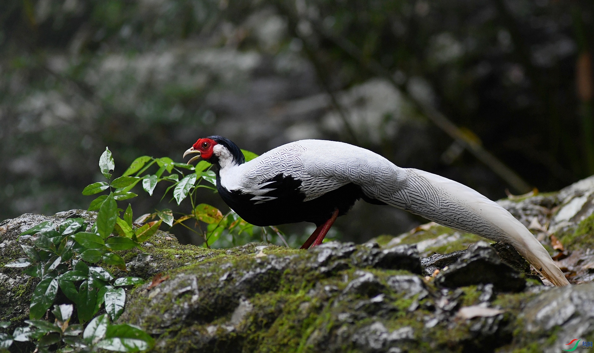 DSC_1298.jpg