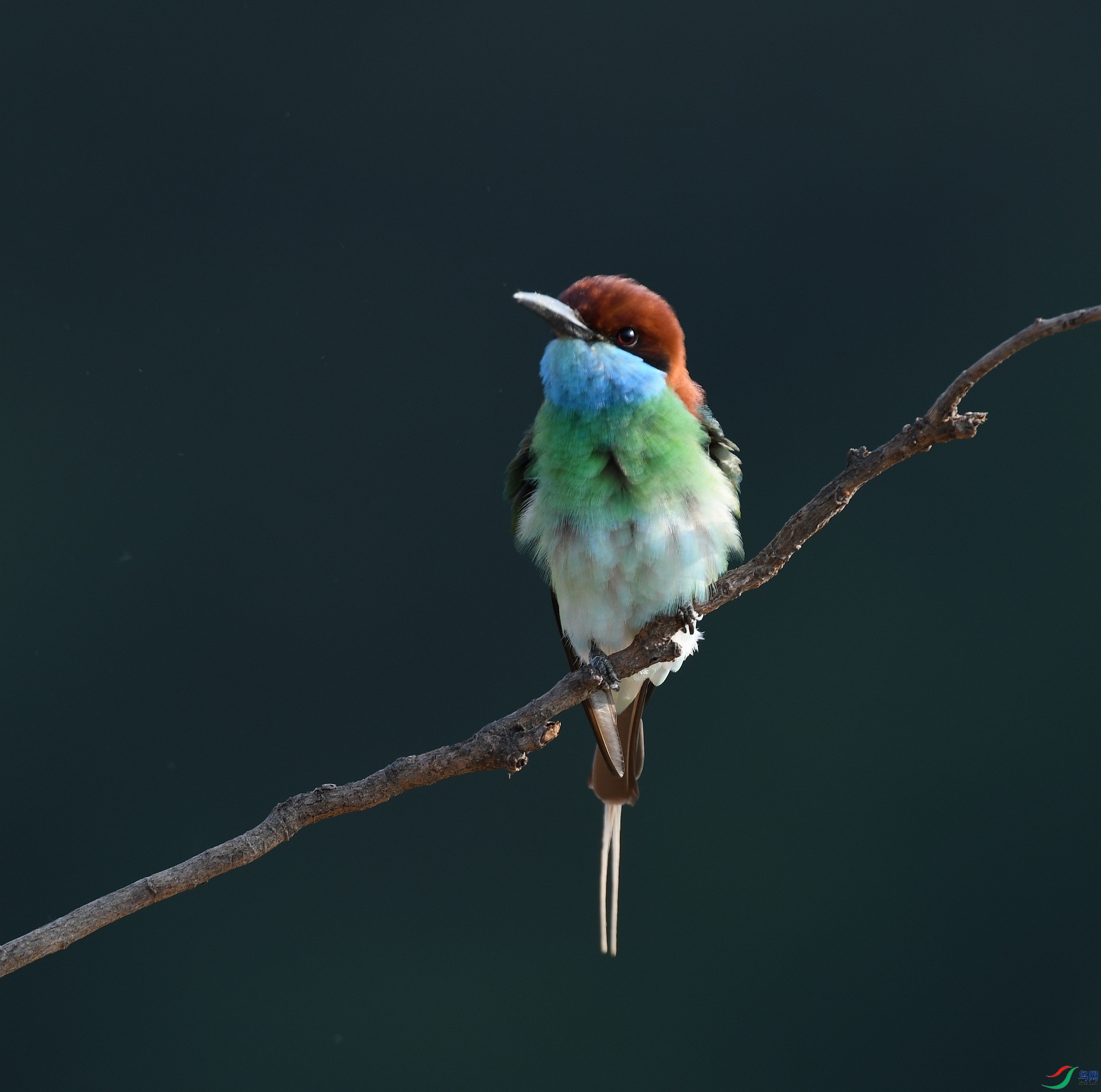 DSC_0668.jpg