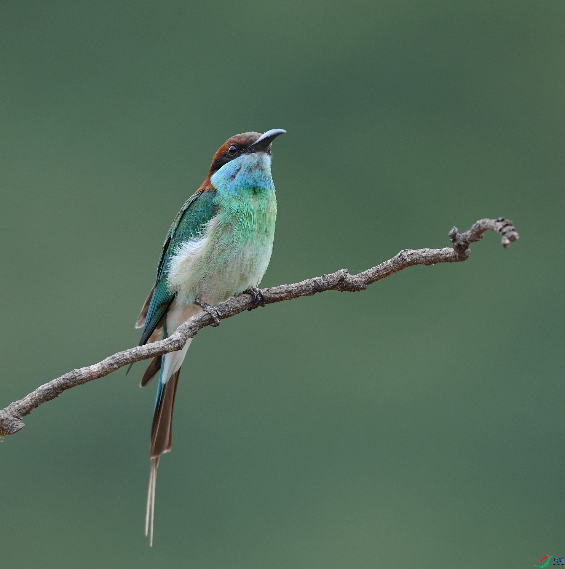 DSC_0885.jpg