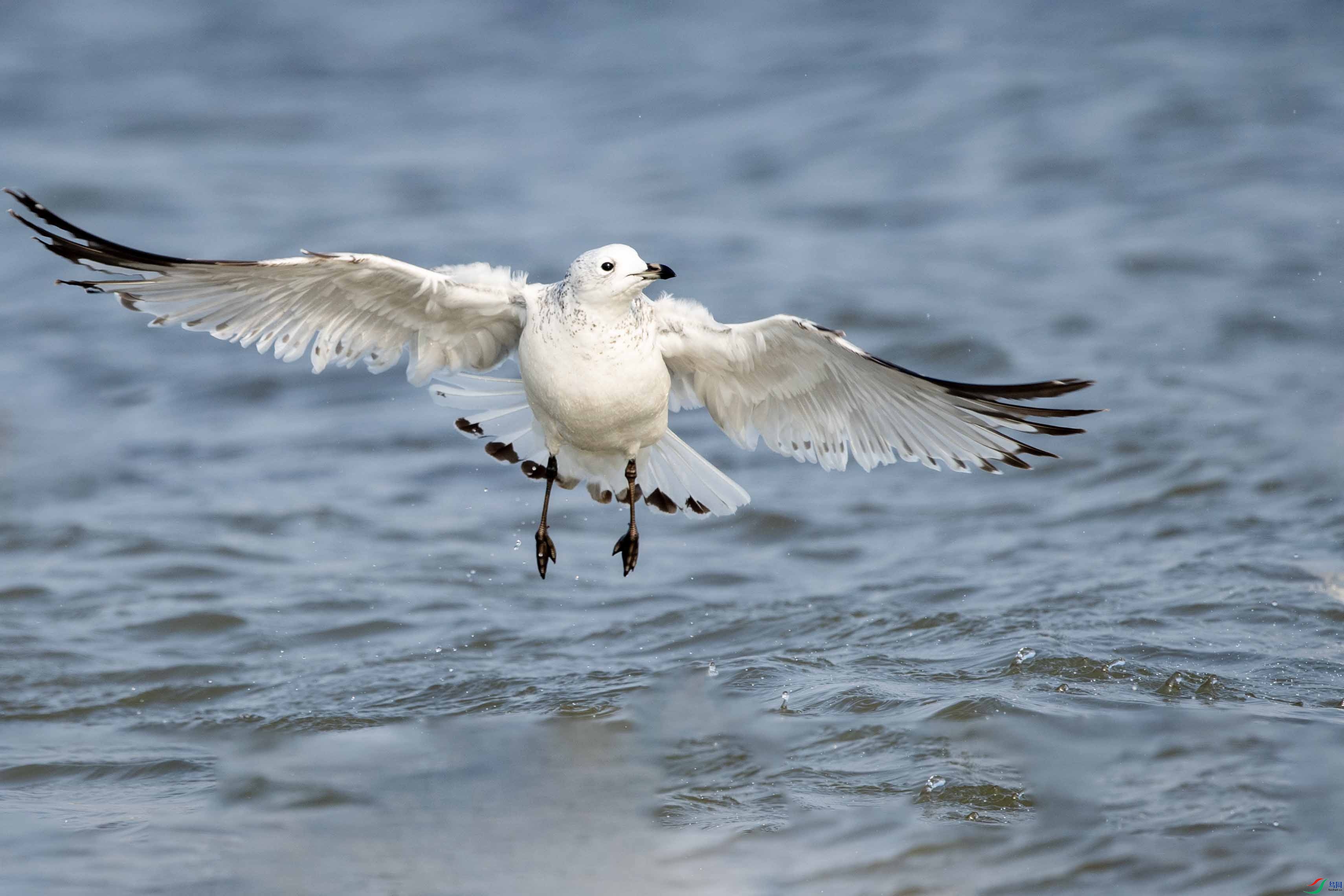 _LYF3663 ����.jpg