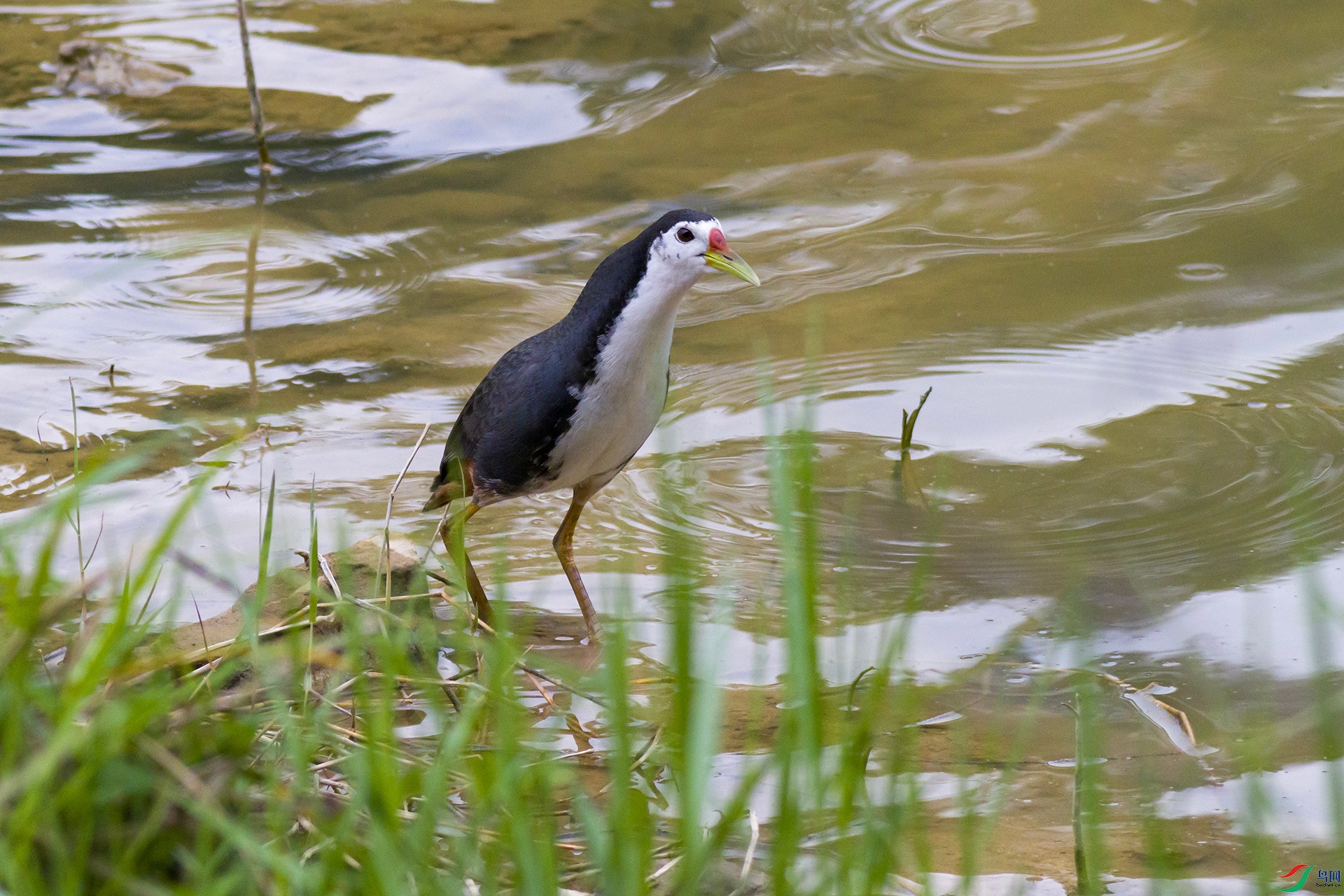 2H6A6556 ����1_����.jpg