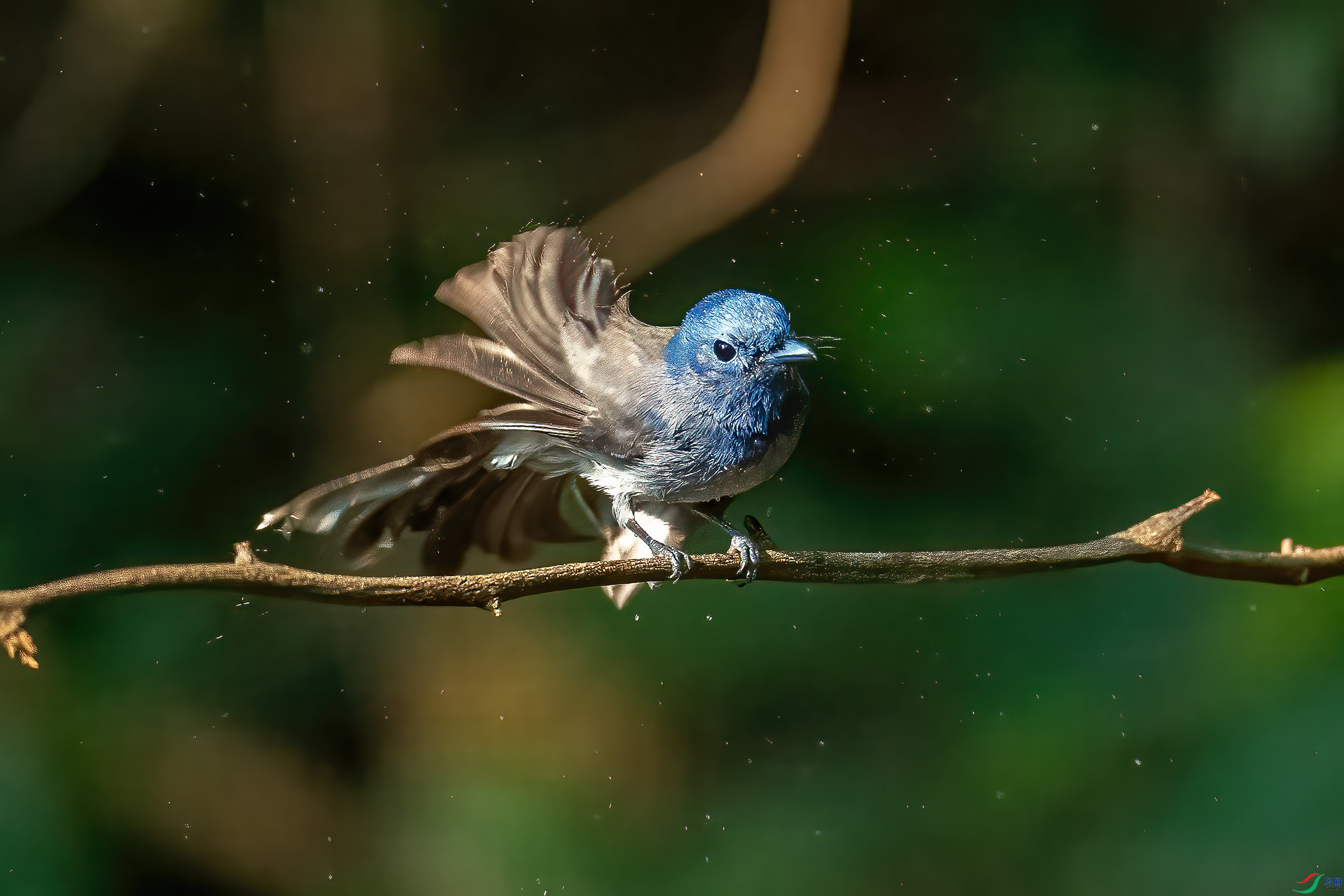 DSC_8014.jpg