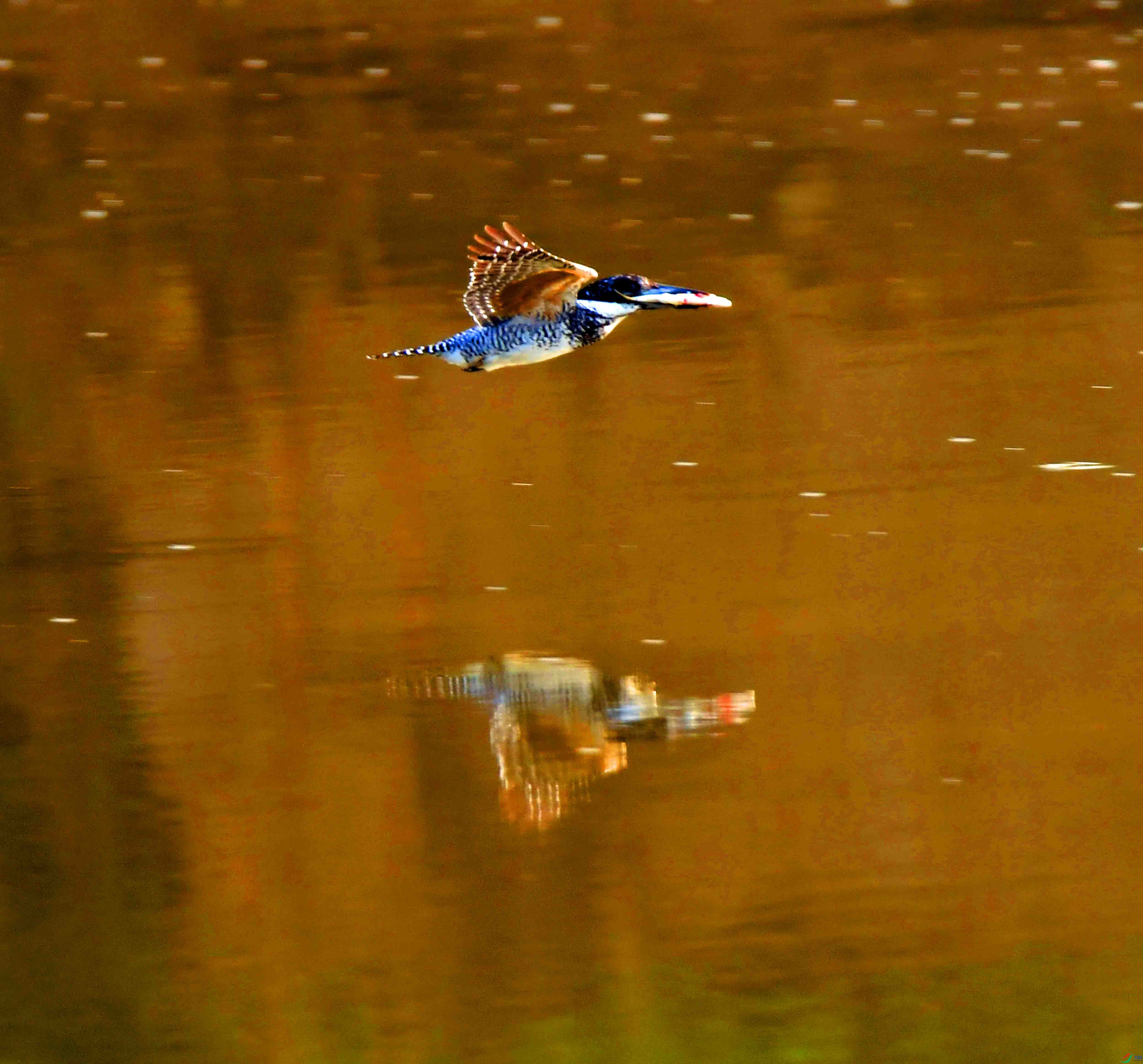DSC_5399.JPG