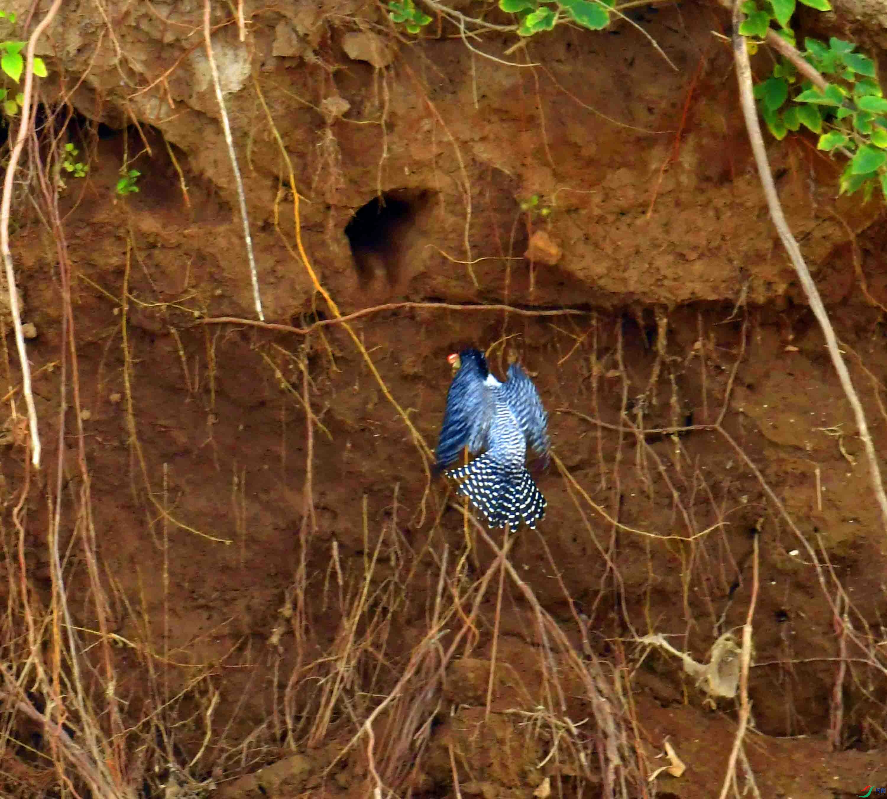 DSC_6403.JPG