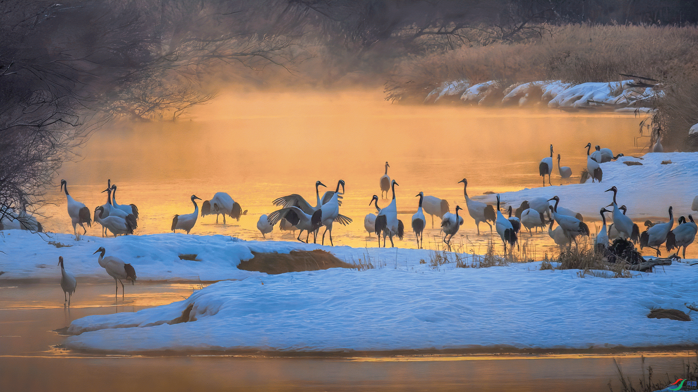 204020zybj8fjtwc1wpczt (1).gif