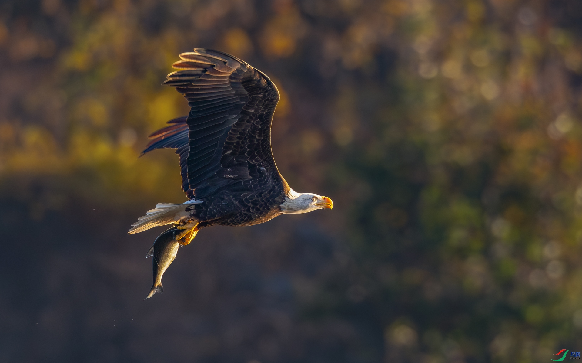 9I6A8339_2.jpg