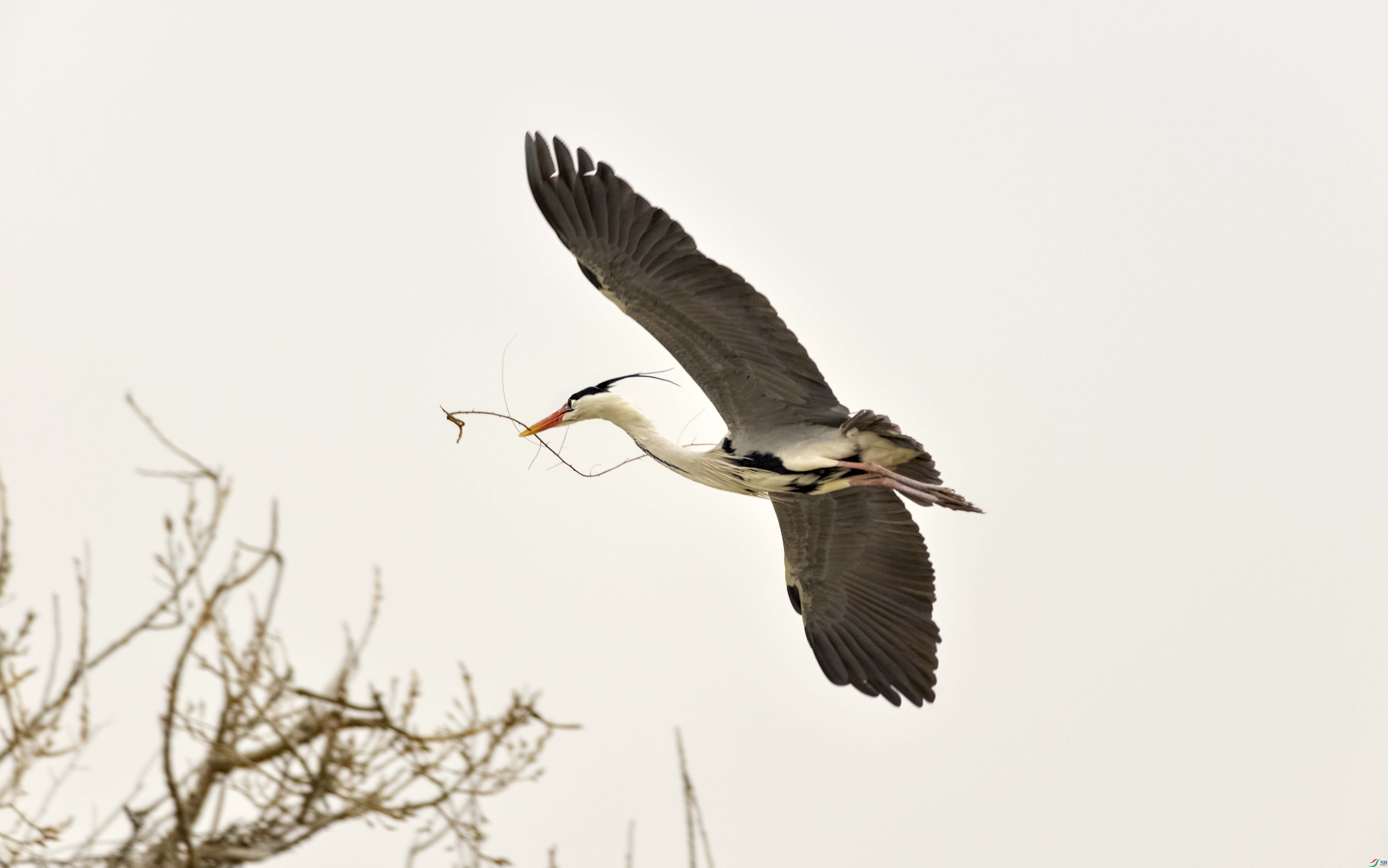 DSC_0374.jpg