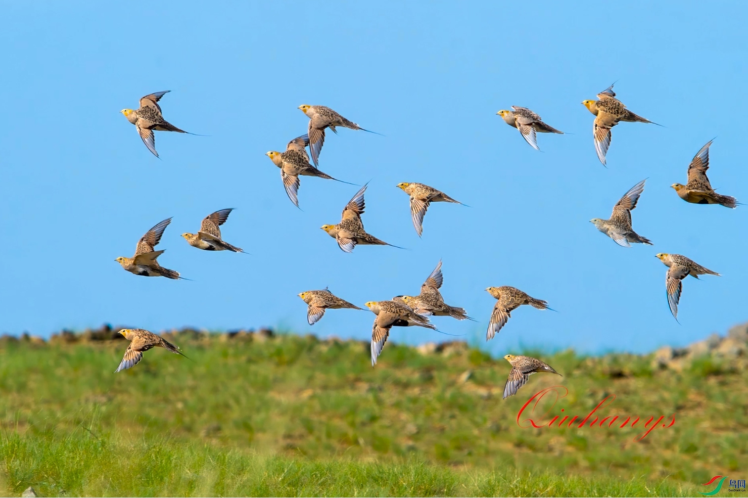 DSC_5310 ����.jpg