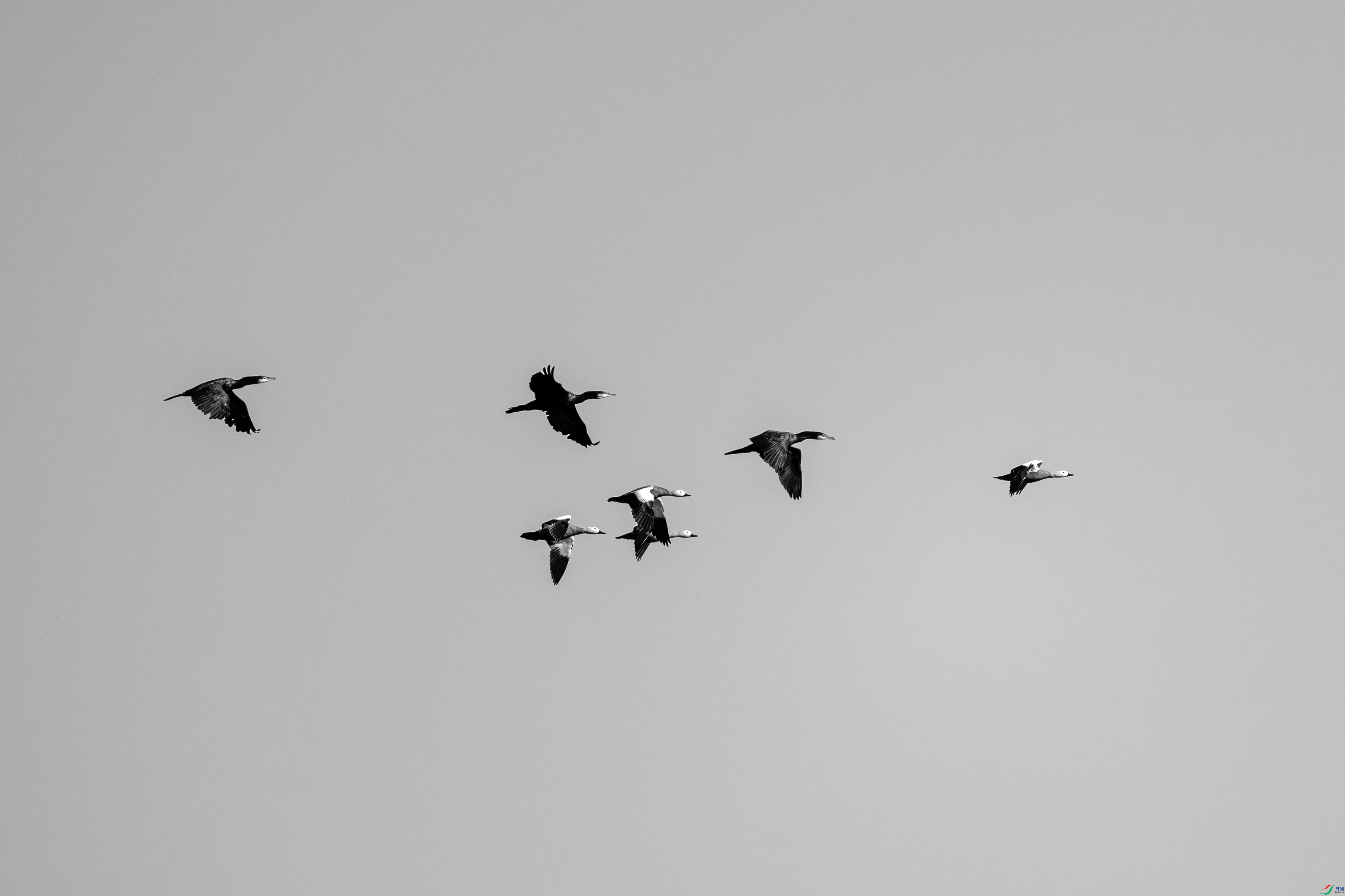 DSC_5859 ����.jpg