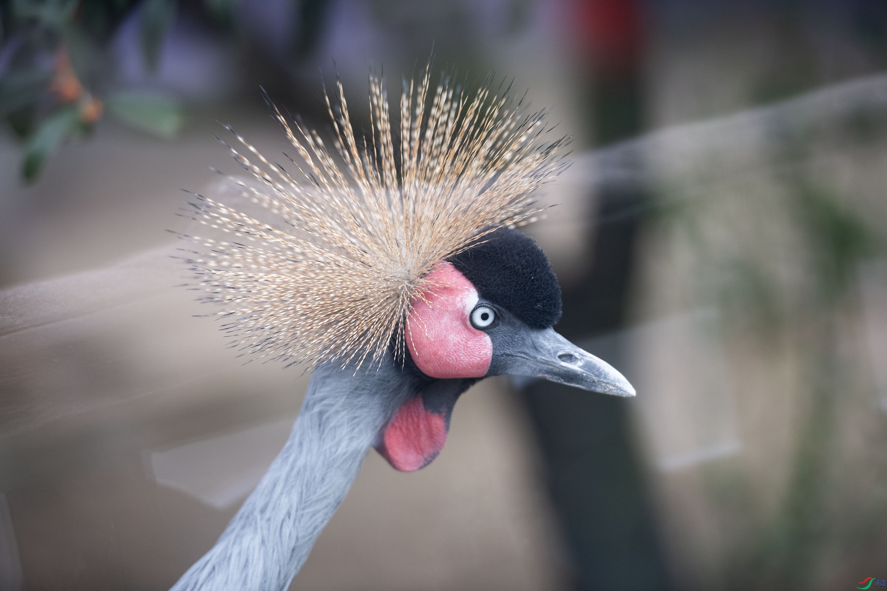 DSC_0315 ����.jpg