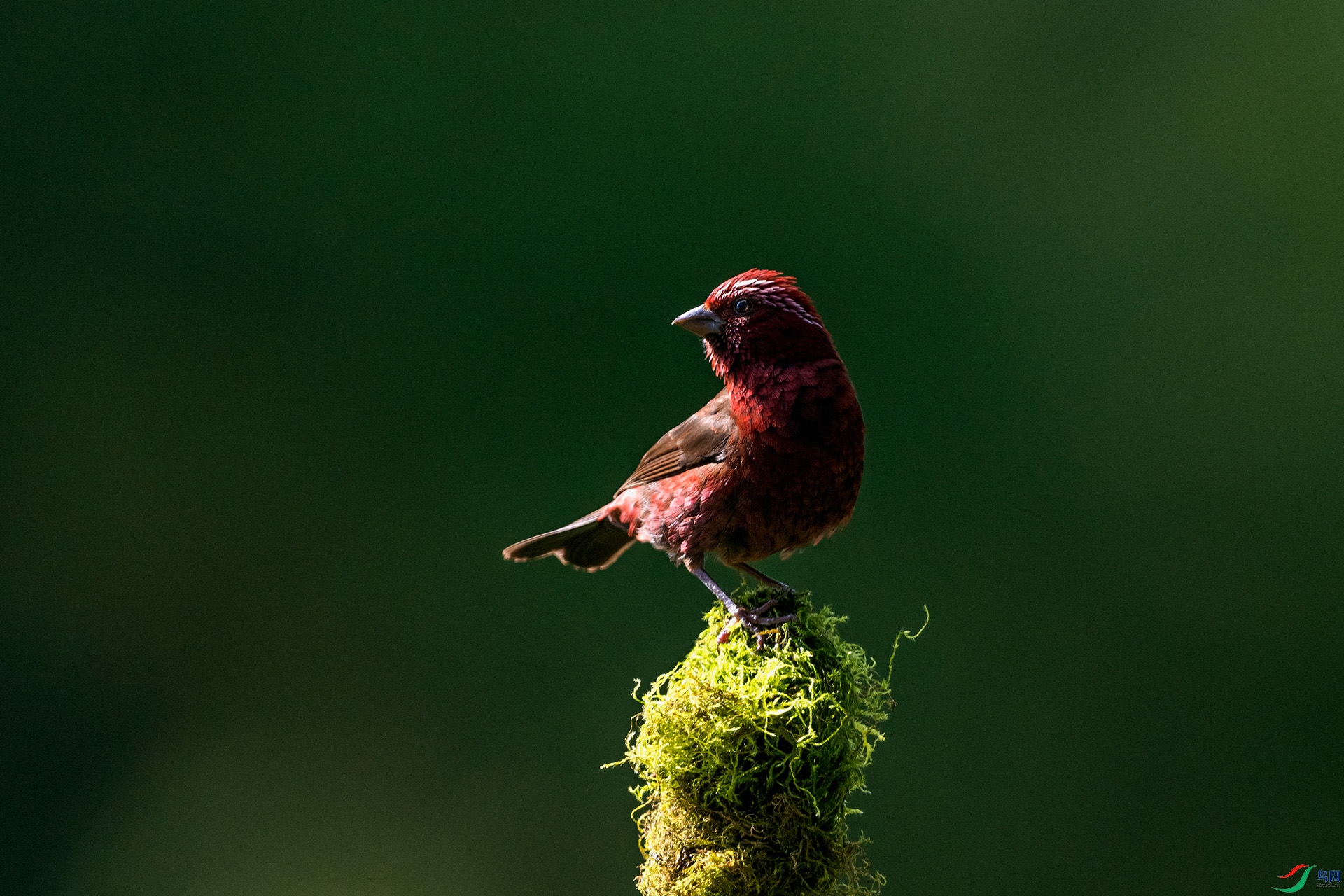 _AUU8537 �ƺ���ȸ(25.8.25).jpg