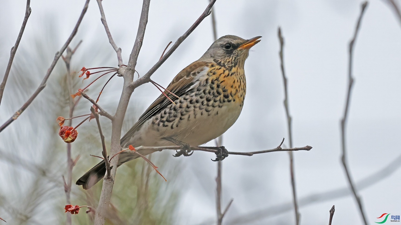 3U2A4385 ���� 2.jpg