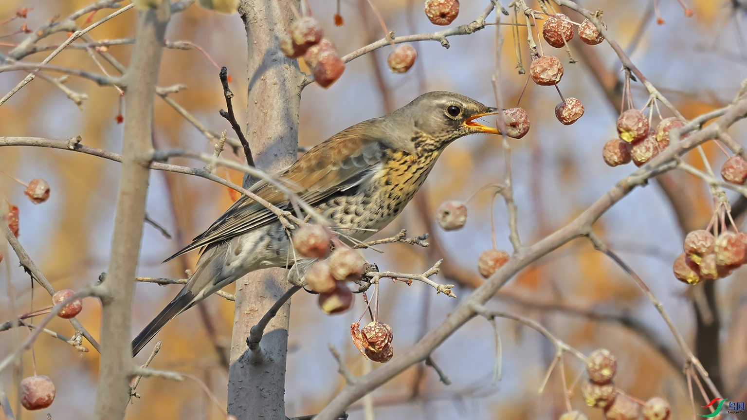 3U2A5558 ���� 2.jpg